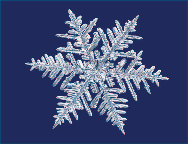 Snowflake Sweatshirt