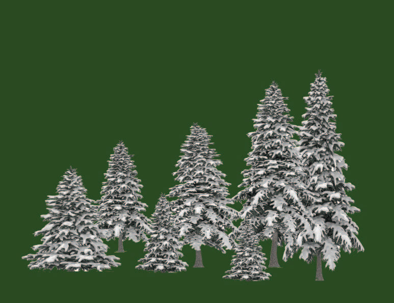 Snow Covered Trees Sweatshirt