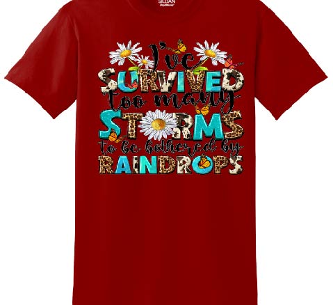 I'VE SURVIVED TOO MANY STORMS Short Sleeve T-Shirt